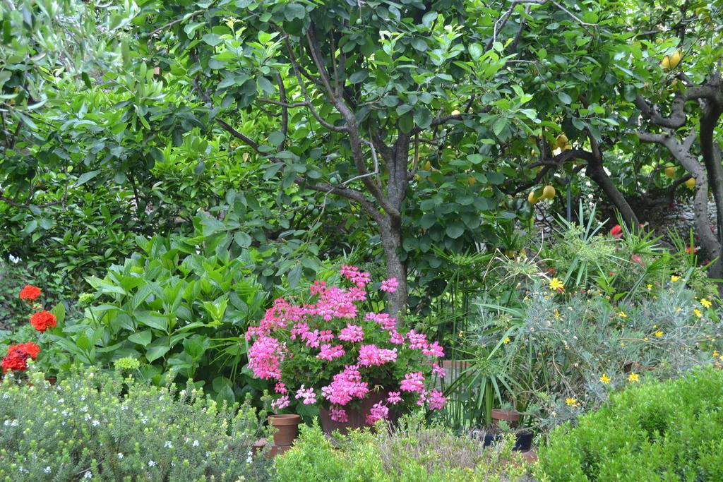 Casa Nobile Bed and Breakfast Tovo San Giacomo Buitenkant foto