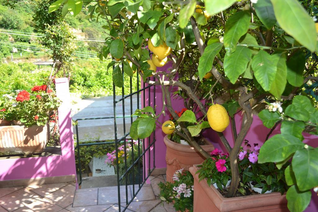 Casa Nobile Bed and Breakfast Tovo San Giacomo Buitenkant foto