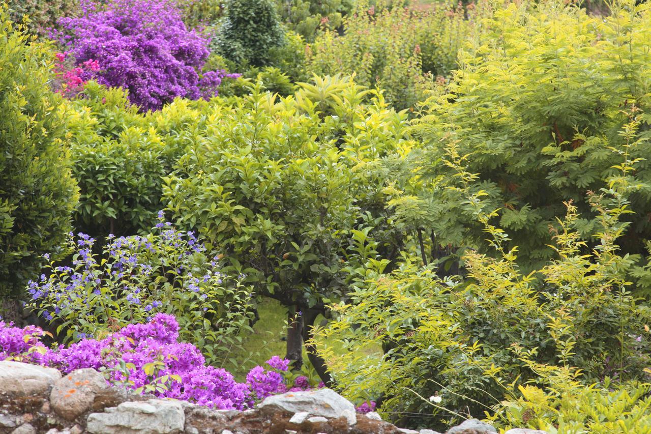 Casa Nobile Bed and Breakfast Tovo San Giacomo Buitenkant foto